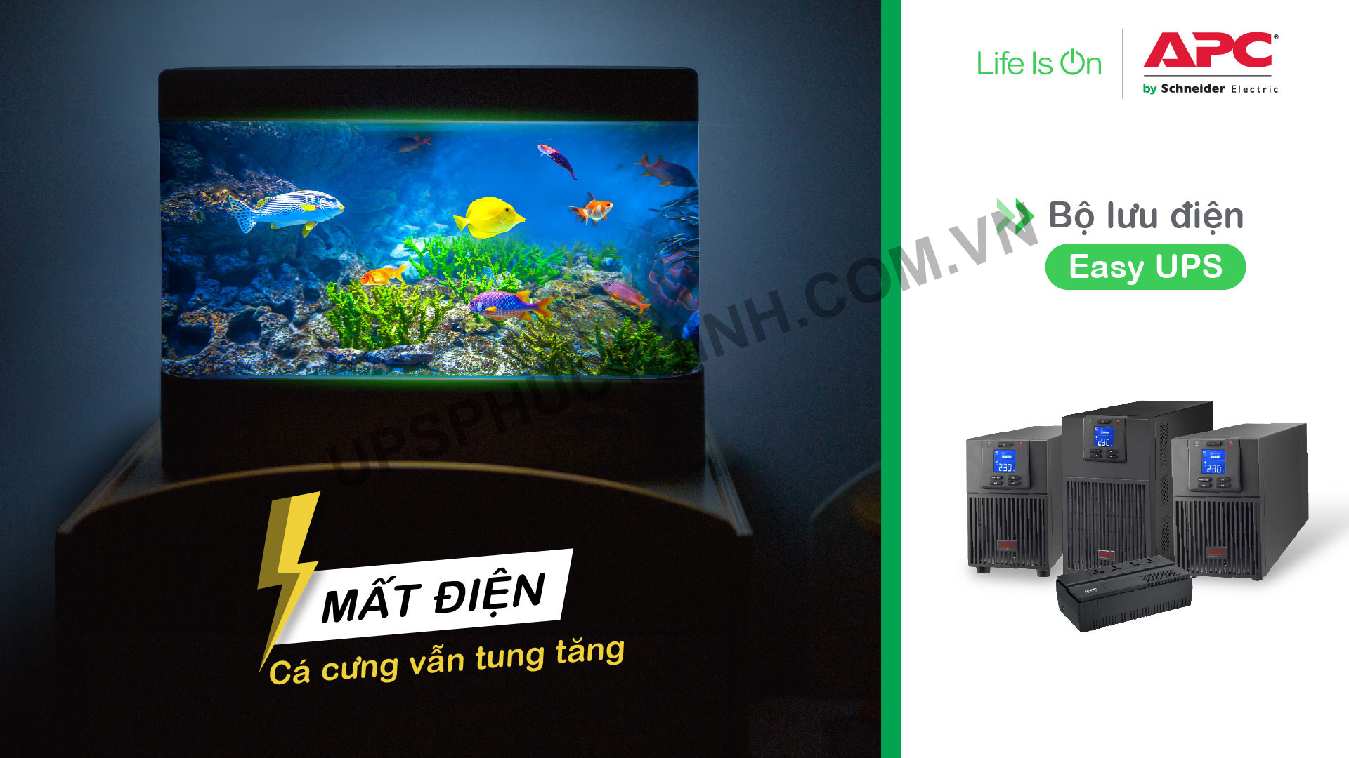 bộ lưu điện ups "Mất điện Cá cưng vẫn tung tăng"